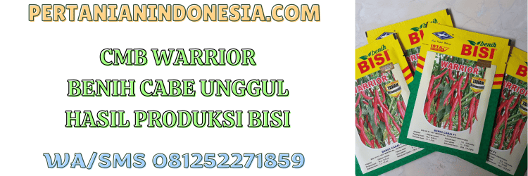cmb,warrior,bisi,cap kapal terbang,chia tai seed,pertanian indonesia